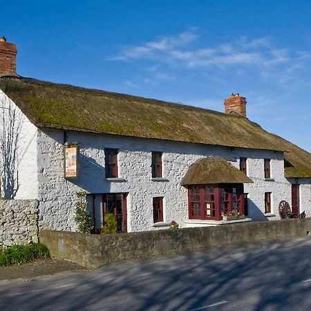 The Snug, Ardfert Village Dış mekan fotoğraf